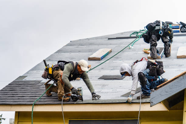 Professional Roofing technician working in Hamburg, IA